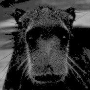 ViP_ПуЛи_ОТ_ДеДюЛи