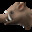 Group Avatar