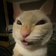 r1no