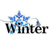 .。❅ * Winter *❅ 。