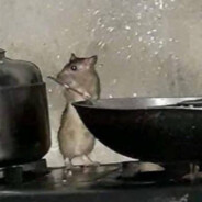 Chef Rat