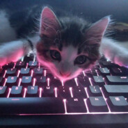 Santi™cyber-project.online