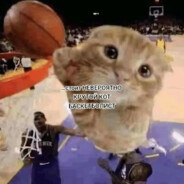 𝗽𝘂𝟲𝗴 | thehalfcat