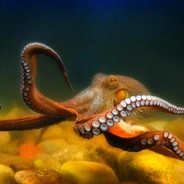 OCTOPUShooter