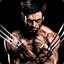 The Wolverine