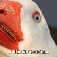 Капитан Кольраби