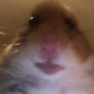 Мистер Хомяк