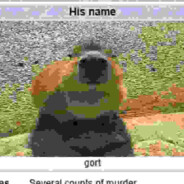gort.jpg