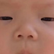 向诚畏