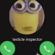 testicle inspector