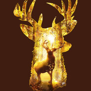 Ser Roger de Mullens's Avatar