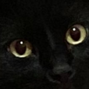 jigglypuff