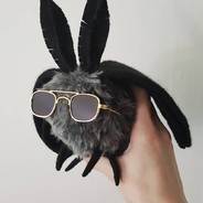 Moth