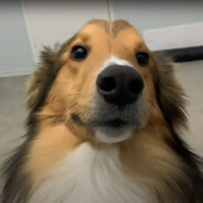 tutkusvrmcnm