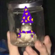 ShortstackHanna