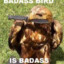 MrBadBird