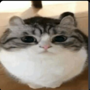 MEOW MEOW