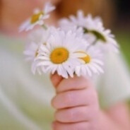 Аватар профиля Steam пользователя Jeon