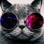 Aviator