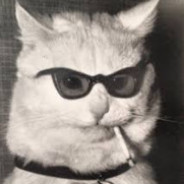 cat - steam id 76561198061480944