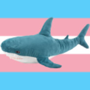 trans blåhaj gaming :3