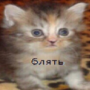 ShowiestDuke470