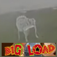 Bong0s