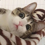 zzz8307