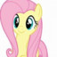 fluttershy