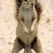 right_nut.be's Avatar