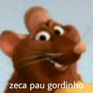 zeca paugordinho
