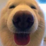 Tim