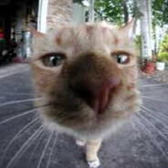 Boing