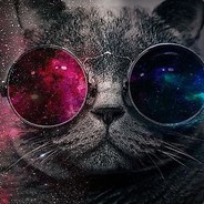 Hide on Nyan