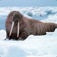 MrFilipenko