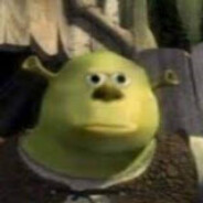 shrek wazowski
