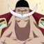 whitebeard