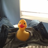 Unsolicited Duck Pic avatar