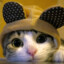 Ledy_END