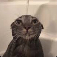 Мишенька с какао