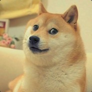 {NANS}_DOGE