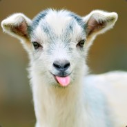 Hall&Goats