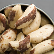 Brazil Nut