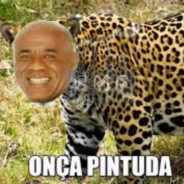 Onça Pintuda