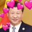 xi jinping fan