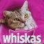 Whiskas