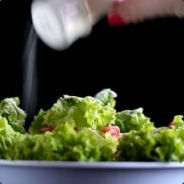 salt salad's Avatar