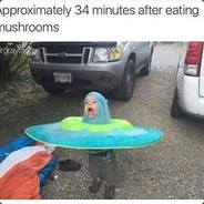 Michael