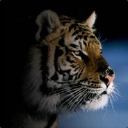 Mr.Tiger