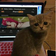 Catayla